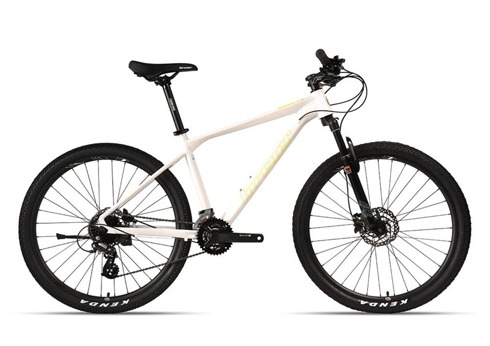 Mountainbike für Erwachsene