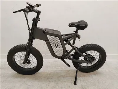 Reifen-Mountain-E-Bike für Erwachsene